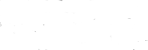 Logo White
